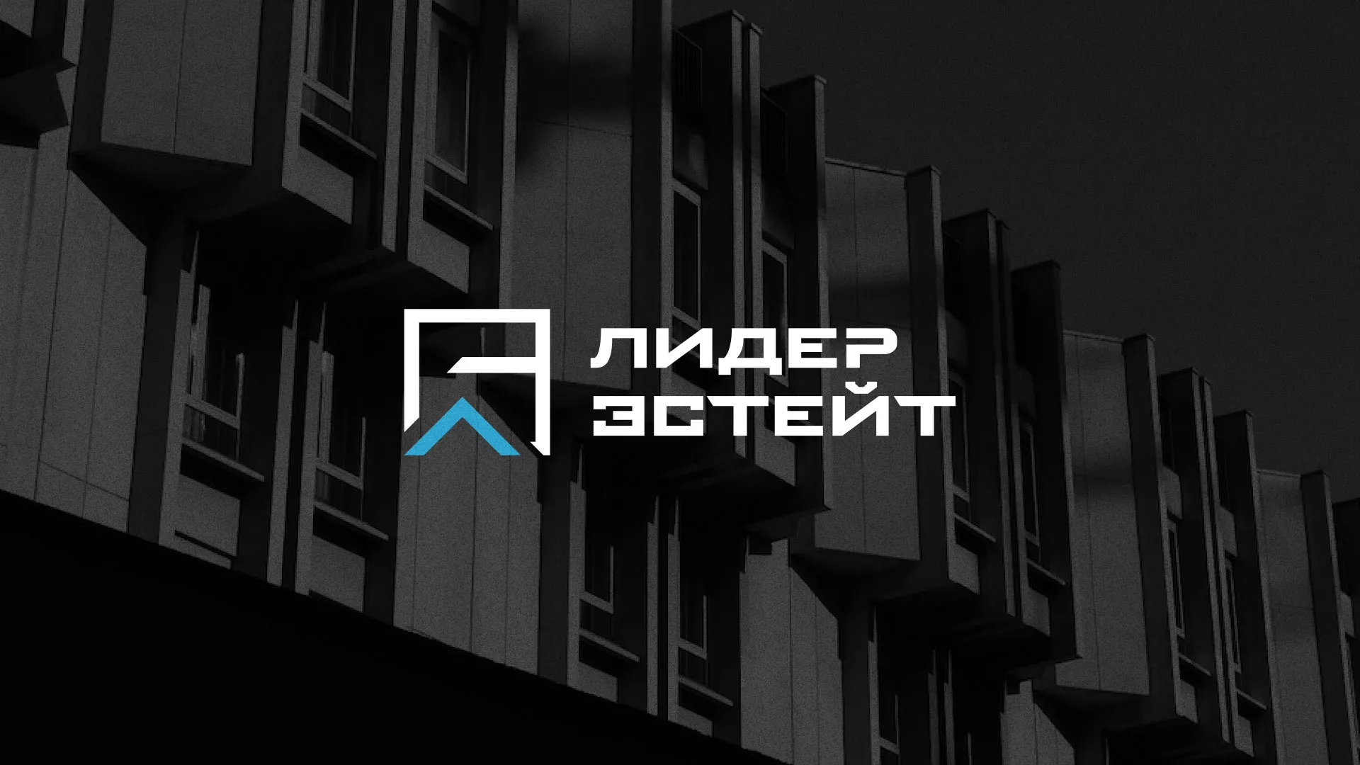 Разработка логотипа агентства недвижимости «Лидер Эстейт» в Аргуне